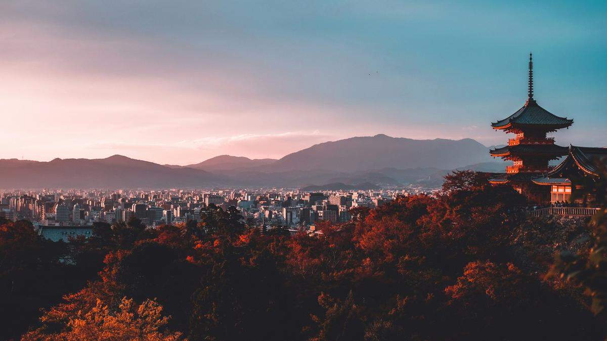 In a city outside Kyoto more than a decade ago, amateur researchers discovered something sticking out of the rocks at a public park construction project.