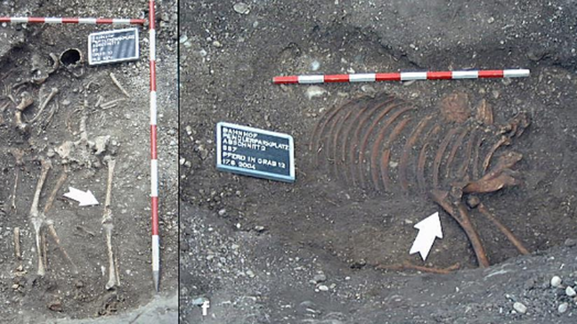 Two ancient sets of human remains found buried on top of a horse are the first grave of their kind discovered in Austria