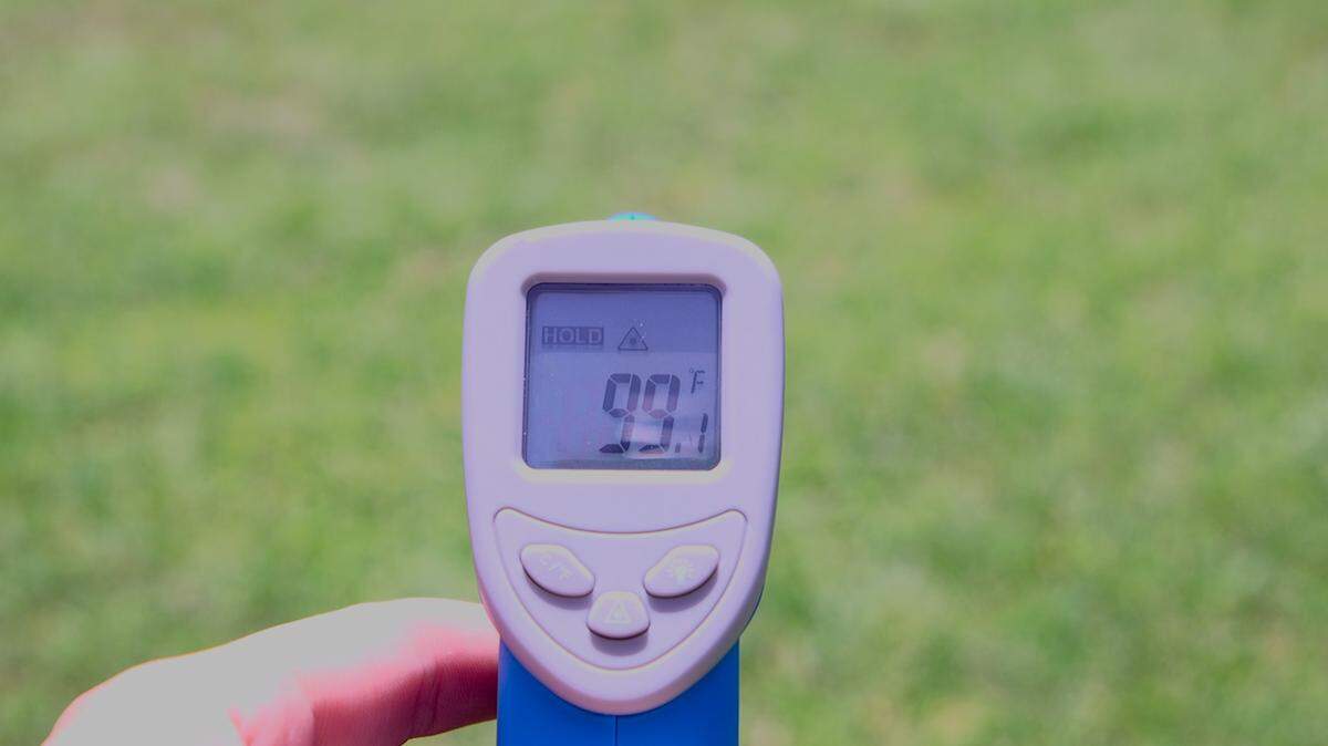 La hierba registró una temperatura de 90 grados en el termómetro de infrarrojos en Margaret Pace Park.