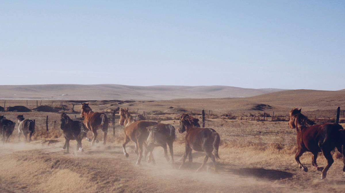 In the arid hills of the Inner Mongolia Autonomous Region, dozens of circular tombs were uncovered near a open-pit mining project, officials said.