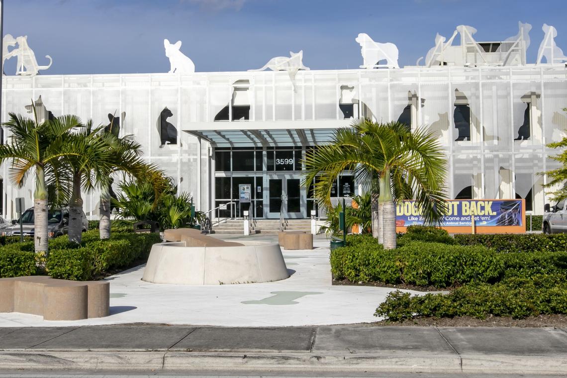 The Miami-Dade Animal Services Pet Adoption & Protection Center, which opened in Doral three years ago, is in its peak season.