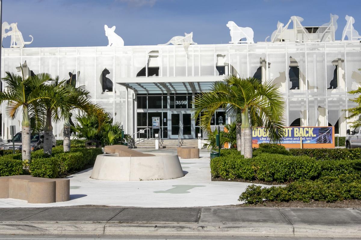 The Miami-Dade Animal Services Pet Adoption & Protection Center, which opened in Doral three years ago, is in its peak season.