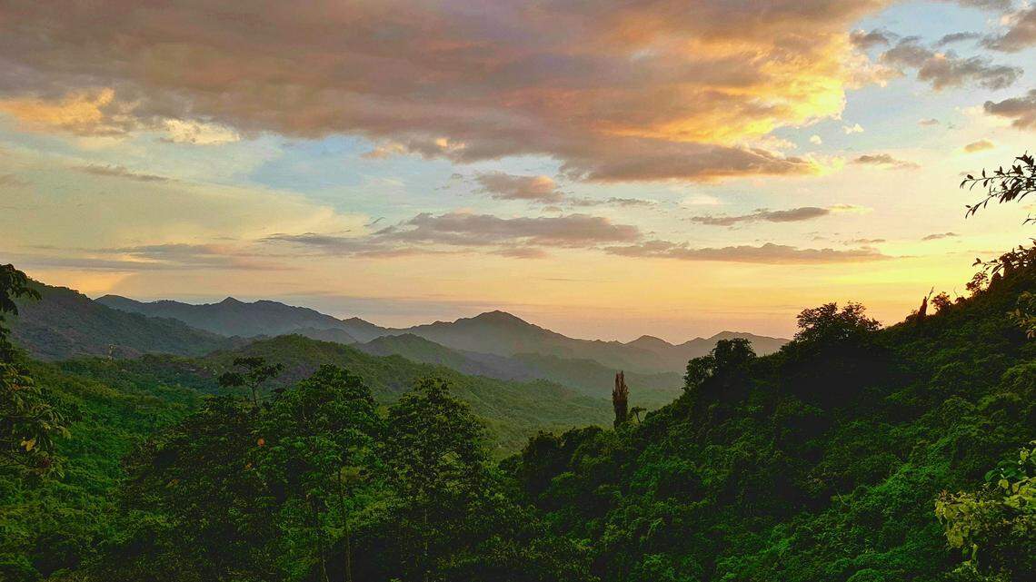 Deep in the northern mountains of Colombia, a small, emerald green bird has gone almost completely unnoticed for decades.