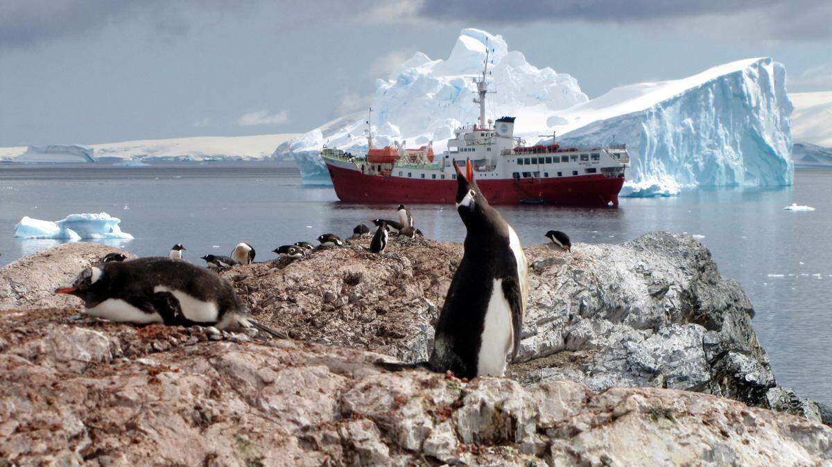 TO GO WITH AFP STORY BY NEIL SANDS Gentoo penguins are seen on January 1, 2010 on the Antartic Peninsula.. Antarctica represents one of the last frontiers for adventurous travellers, an icy wonderland of glaciers, emperor penguins and seemingly endless white expanses. Tourist numbers in Antarctica have grown from less than 5,000 in 1990 to about 35,000 a year, according to industry figures. Most travel by sea, some paying in excess of $20,000 for a luxury cabin in the peak period from November to March. (Photo by SARAH DAWALIBI / AFP) (Photo by SARAH DAWALIBI/AFP via Getty Images)