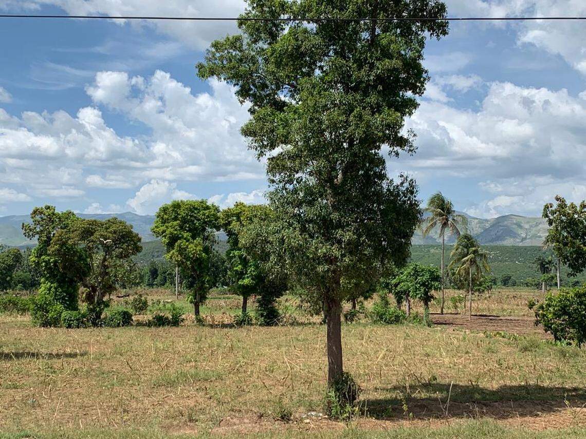 The area of Vye Bouk in Verrettes in Haiti’s Lower Artibonite Valley, where farmers are struggling to work the land and find enough to eat.
