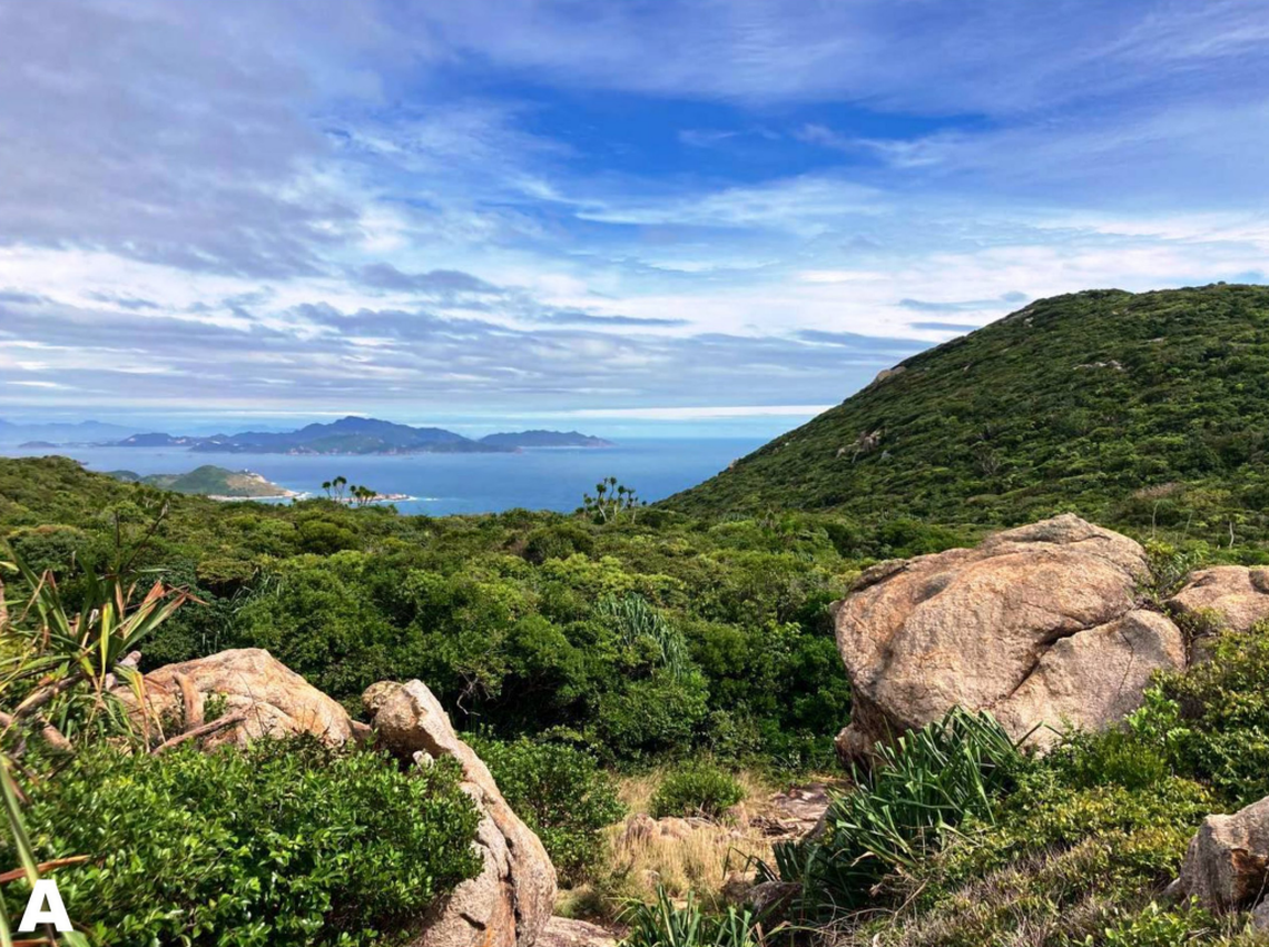 The general area where Dibamus tropcentr specimens, or Ninh Thuận blind skinks, were found.