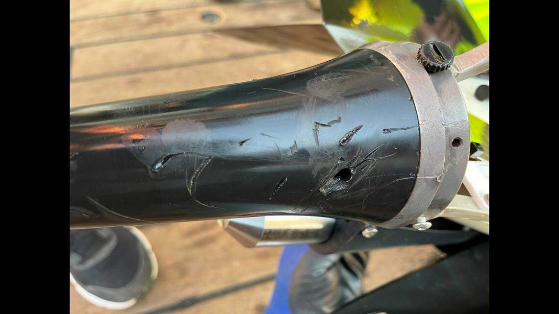 A photo shared by government officials shows the damage included punctures and scrapes, which were likely caused when the automated underwater vehicle accelerated out of the predator’s jaws.&nbsp;