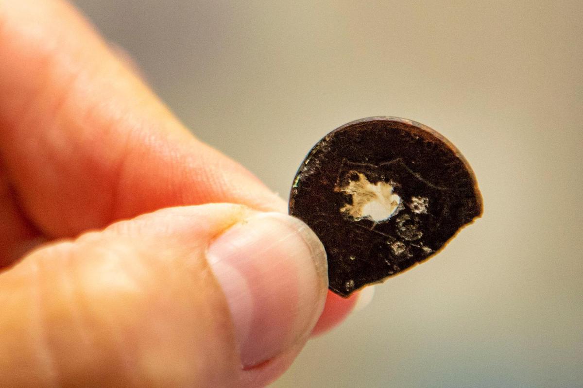 Chief of Animal Health Gwen Myers holds up a partially dissolved penny found inside the stomach of an alligator at Zoo Miami.
