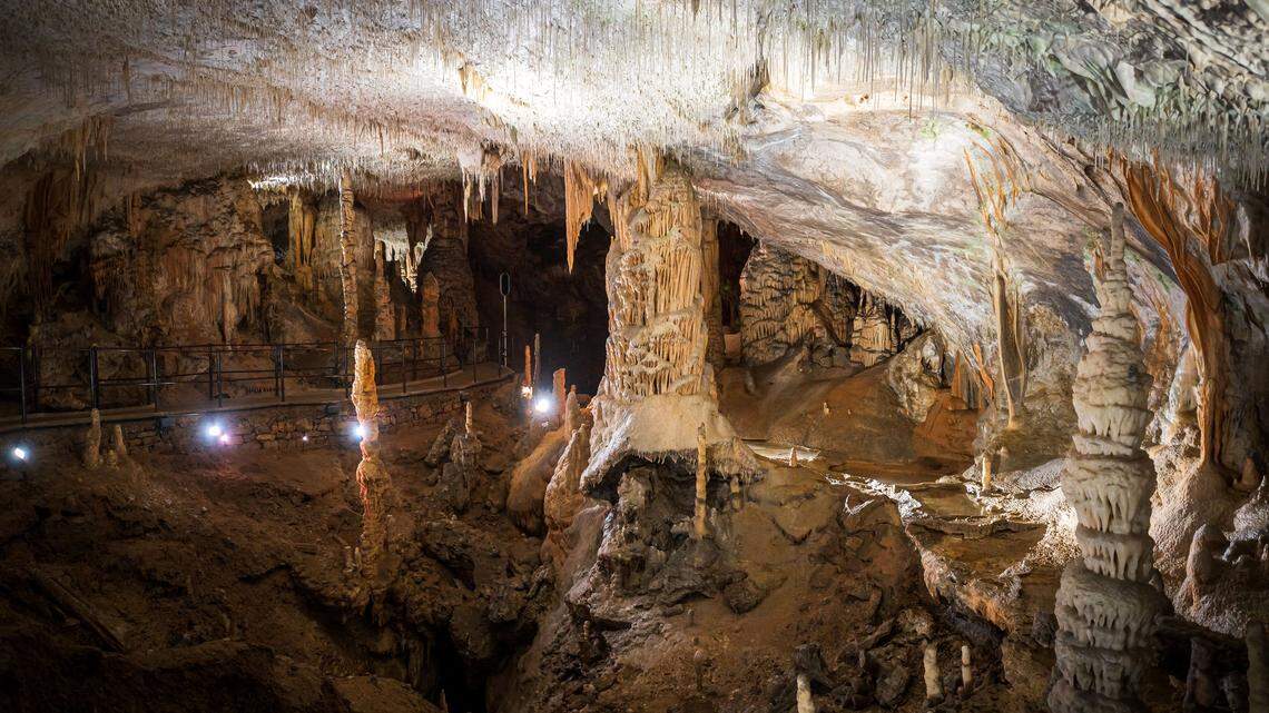 Researchers found dozens of tiny, see-through crustaceans in an Australian cave, including a new “giant” species measuring nearly 6mm (not pictured).