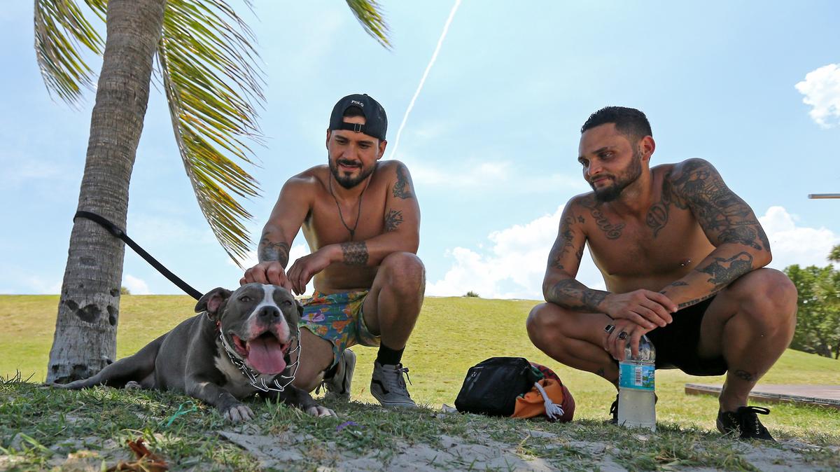 South Florida residents Norman Cornavaca with his 5 years old pit bull Zoey alongside his friend Jimmy Amador as they protect themselves with the palm threes from the sunny and hot day at South Pointe Beach on Monday, June 3, 2019 in Miami Beach Fl.