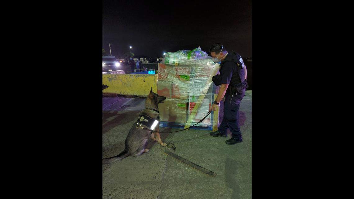 The Customs and Border Protection K-9 officer with one of the piles of cash he helped discover