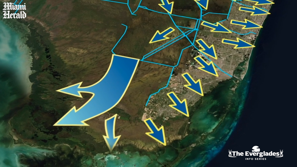 A look at the efforts to reverse nearly a century of damage to the Florida Everglades