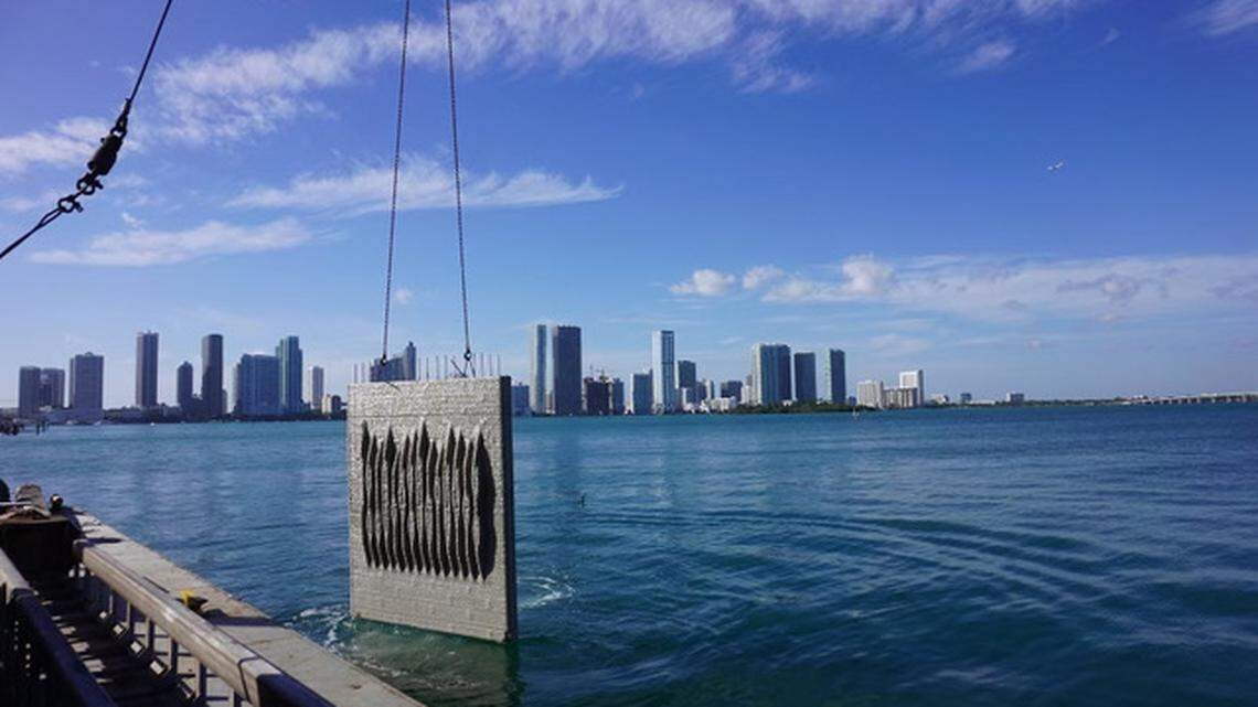 KIND Designs creates living seawall, like this one installed in Miami-Dade on Jan. 8. It is one of six panels in front of a home on Venetian Causeway, Miami, Beach. 