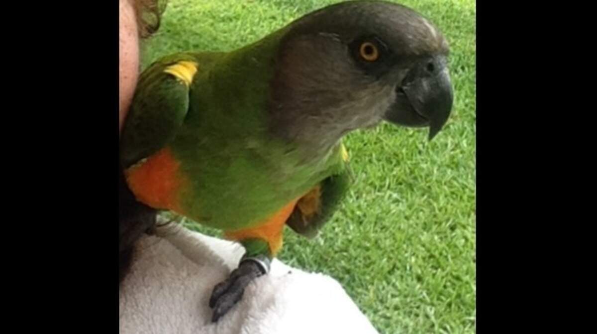 Benny