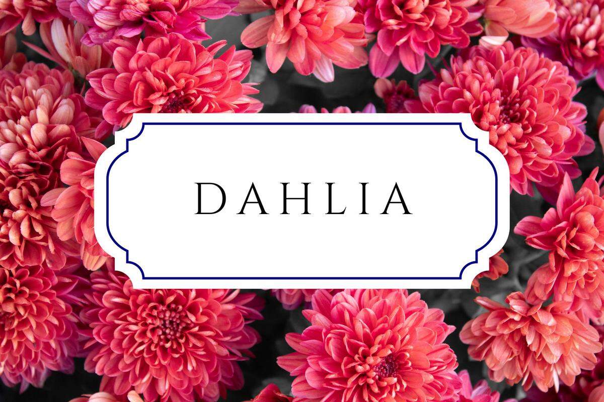 unique nature names dahlia