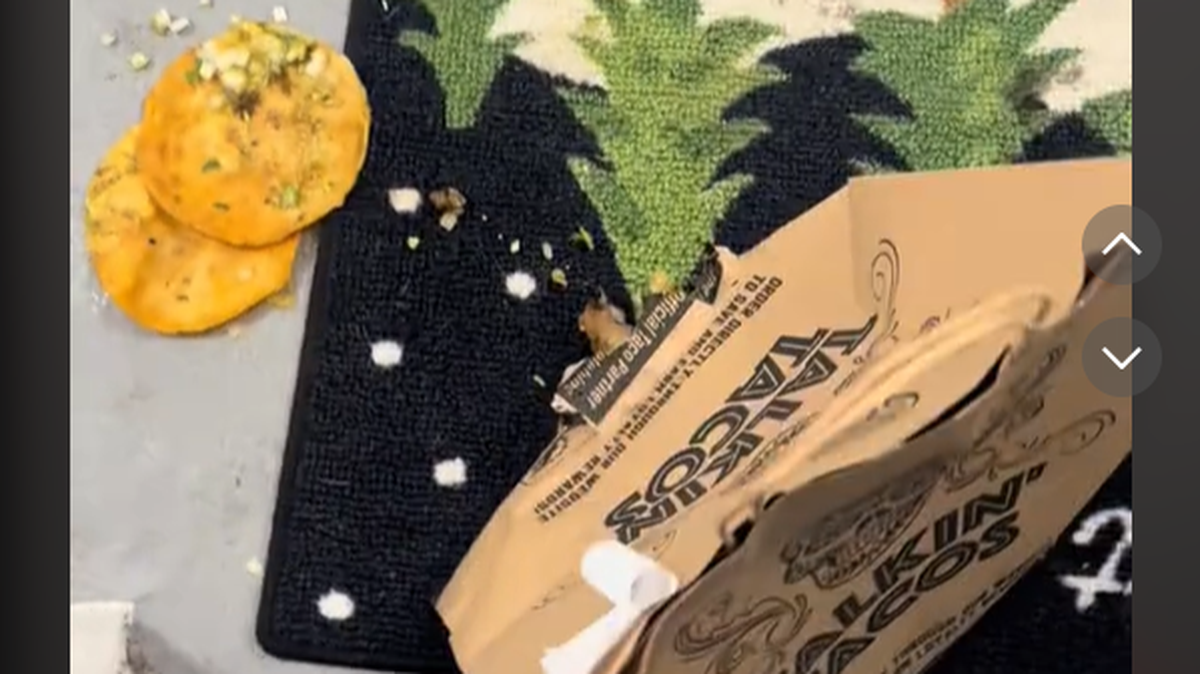 A Florida woman opened her door to find her food delivery had already been eaten, a TikTok shows.