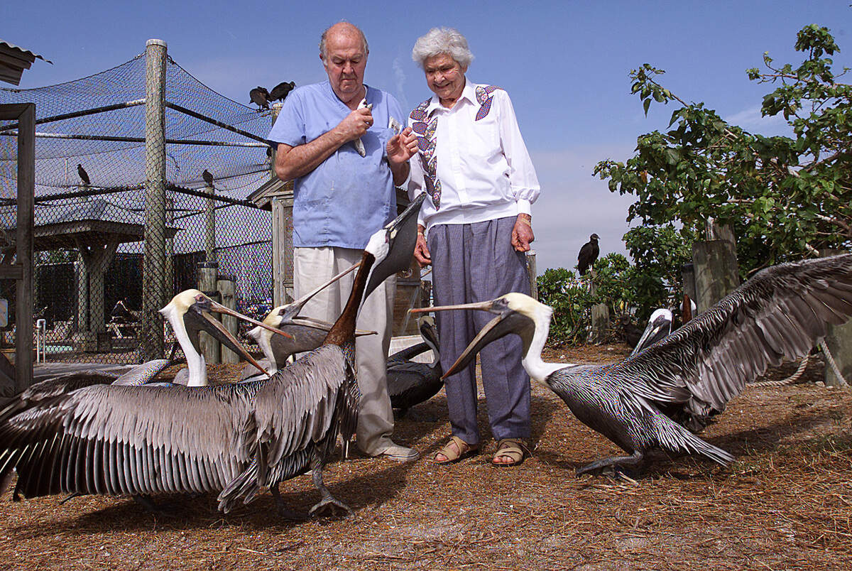 Harry and Darlene Kelton look at pelicans on Jan. 2, 2003, at Pelican Harbor Seabird Station, located at 1279 79th Street Causeway in Miami.