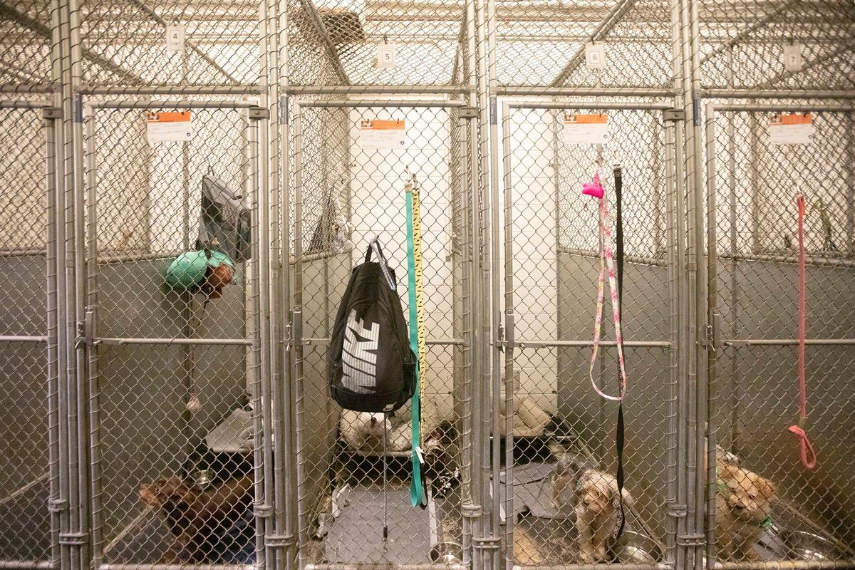 Camillus House cuenta con perreras en el lugar para albergar perros para cualquiera de sus clientes que vengan con mascotas.