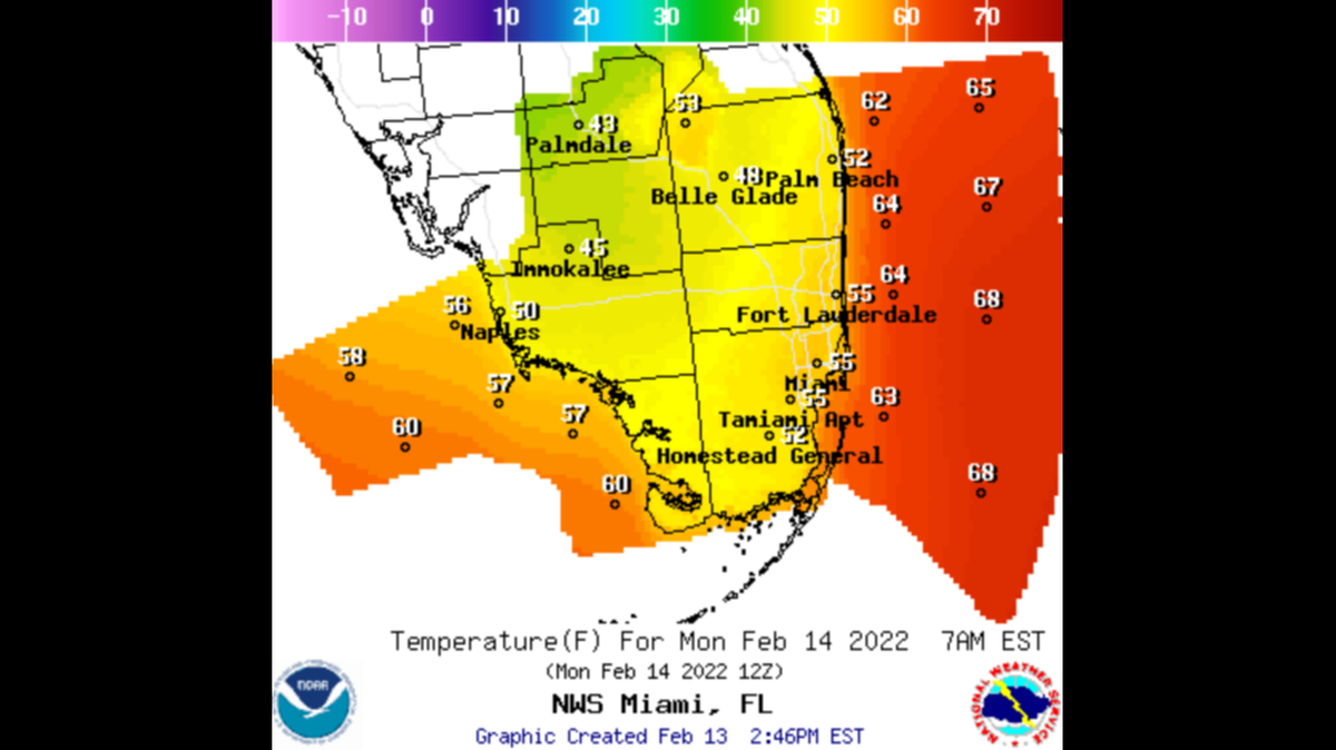 It will be a cool but sunny Valentine’s Day in Miami with lows in the mid 50s early in the morning followed by highs in the lower 70s. At night, the lows will be around 60, according to the National Weather Service.