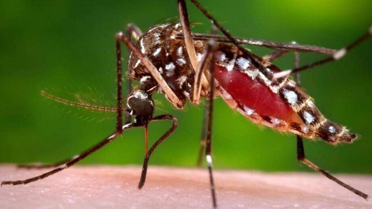 The Florida Department of Health issued a state-wide mosquito-borne illness alert.