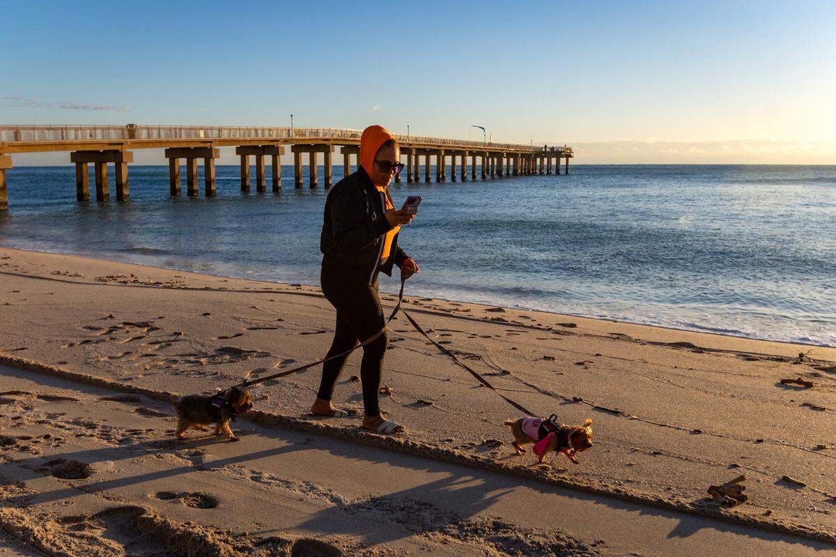 South Florida resident JC Holder walk her Yorkshire, Haven, left, and Pebbles under the cold weather at the Newport Fishing Pier on Tuesday, Jan. 30, 2024 in Sunny Isles Beach, Florida.
