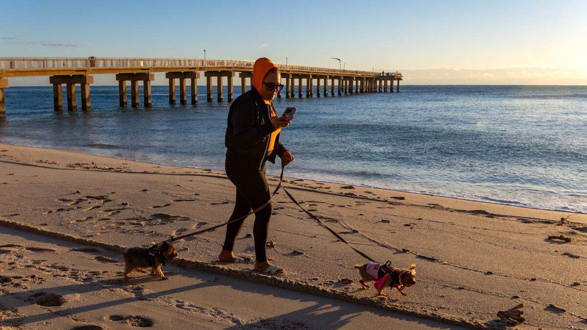 South Florida resident JC Holder walk her Yorkshire, Haven, left, and Pebbles under the cold weather at the Newport Fishing Pier on Tuesday, Jan. 30, 2024 in Sunny Isles Beach, Florida.