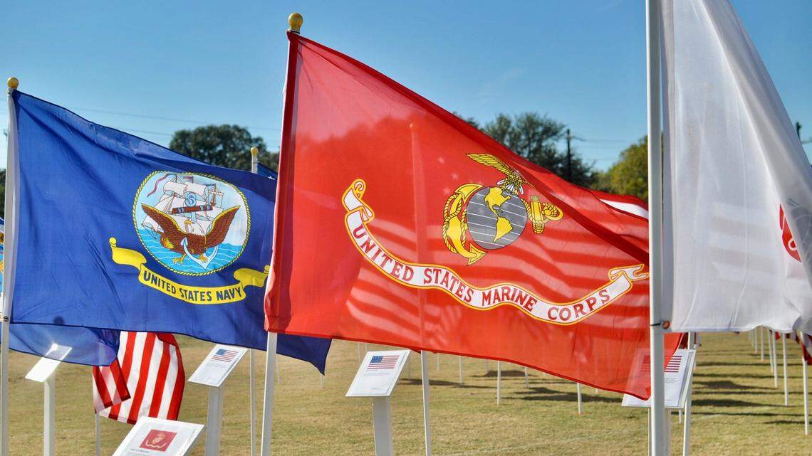 A U.S. military veteran pleaded guilty in connection with making false statements on a fake military discharge form, feds say.