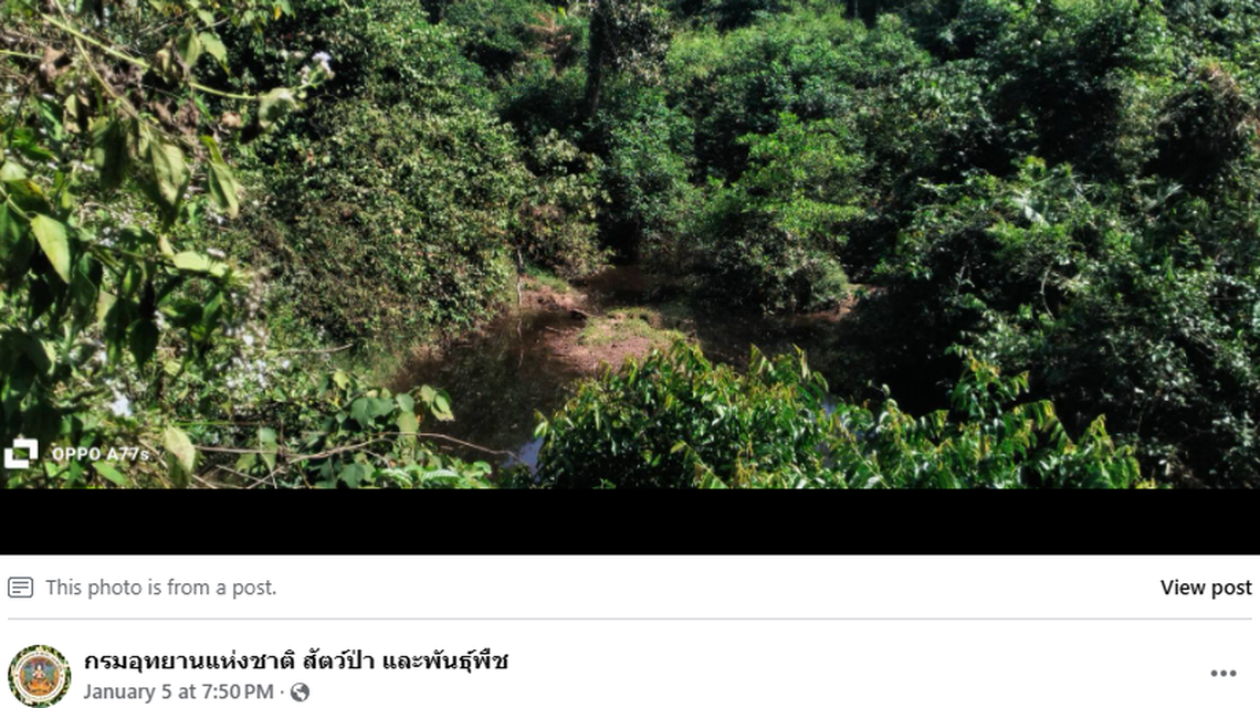 On a small, grassy island in a river in a Thailand national park, rare reptiles give hope for their species.