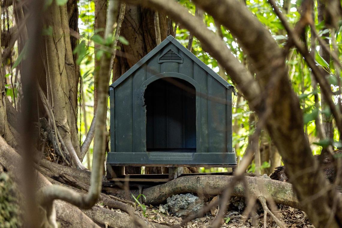 A makeshift cat crate sits inside a forested area near a Kendall Lowe’s parking lot on Monday, May 19, 2025.