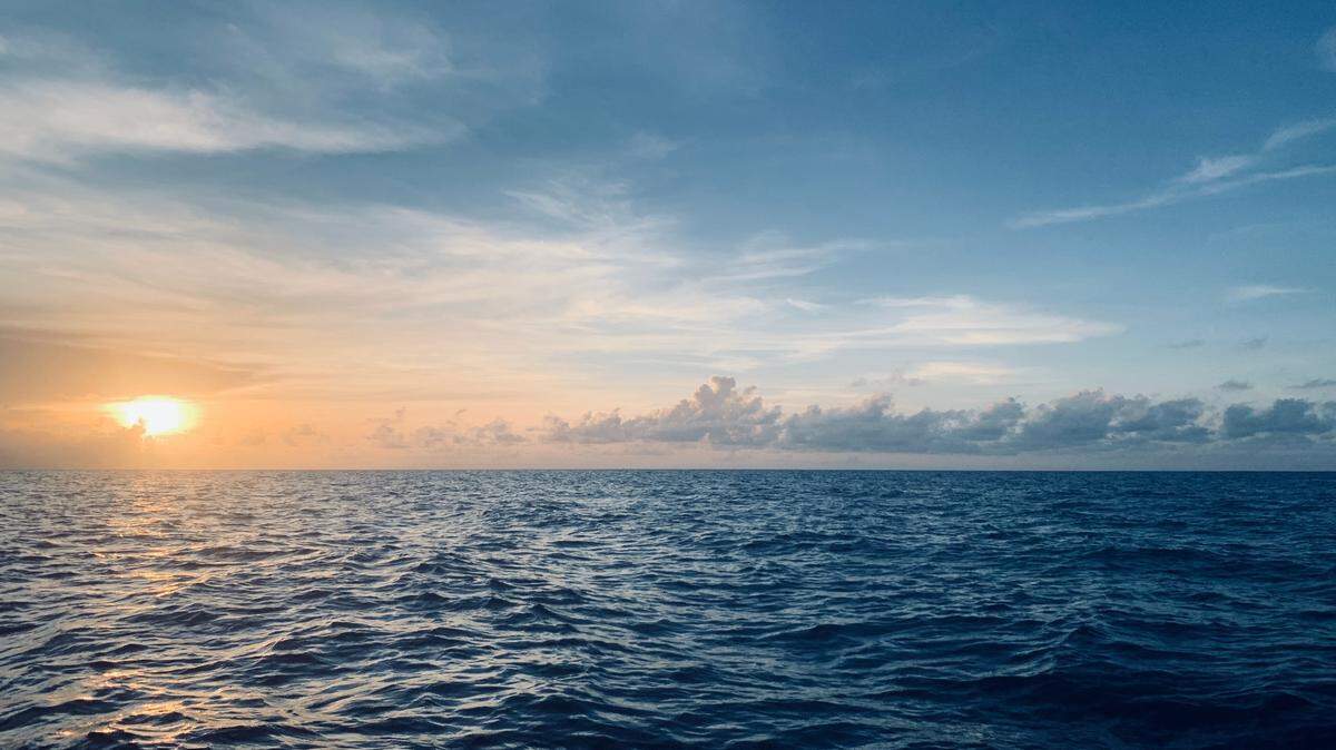 The new species found near Madagascar is similar to other fish that have been discovered, experts said.