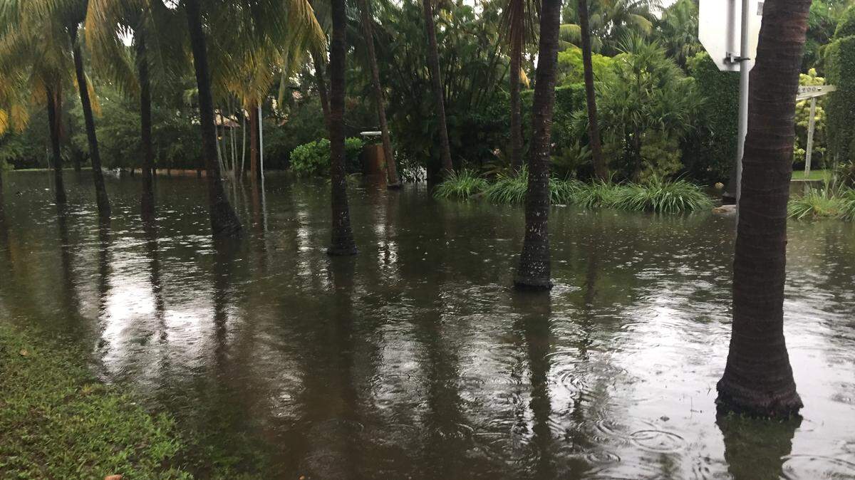 Flooding on an August day is so bad on Miami Beach's 59th Street that residents can barely see the street below. The neighborhood is in line for a stormwater system upgrade, including raised roads and pumps.