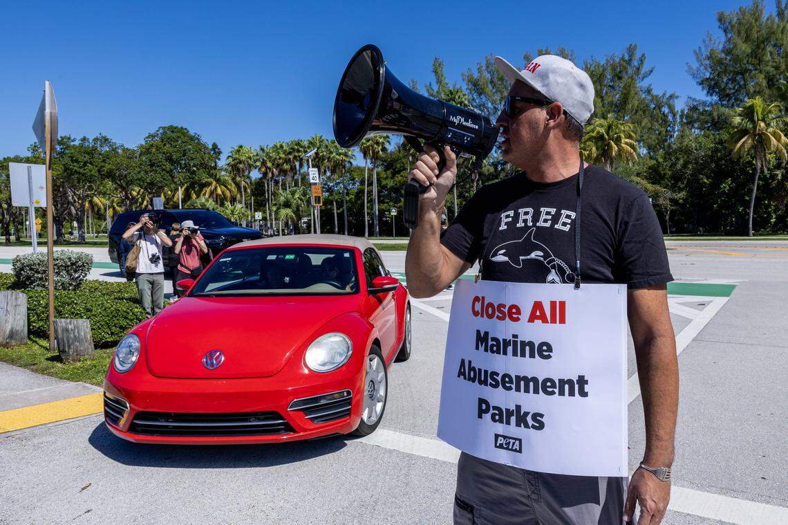 Cofounder for SOFLO Animal Rights Juan Endara, 52, protests outside Miami Seaquarium on Sunday, October 12, 2025, on Virginia Key in Miami, Fla. 