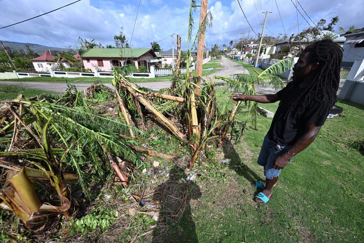 A man points to his banana crops, destroyed by the powerful winds following the passage of Hurricane Melissa, in longwood, St Elizabeth, Jamaica on October 29, 2025. Hurricane Melissa ripped up trees and knocked out power after making landfall in Jamaica on October 28, 2025 as one of the most powerful hurricanes on record, inundating the island nation with rains that threaten flash floods and landslides. 