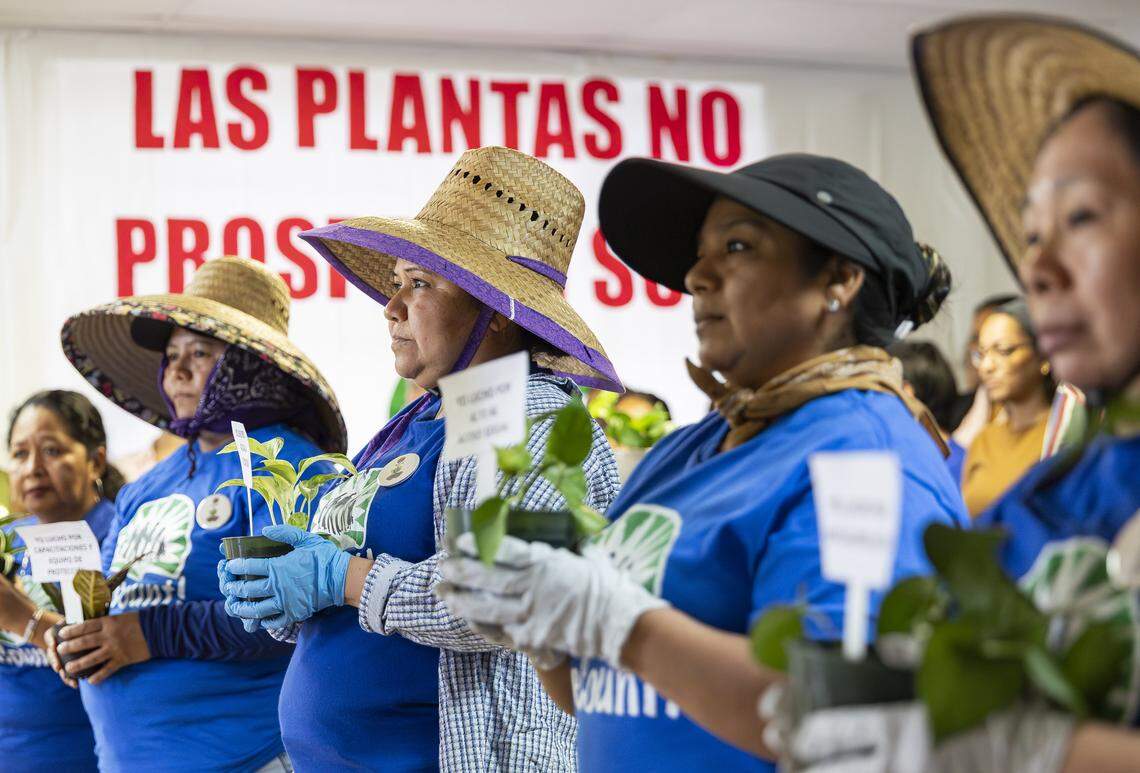 Silvia, center, a farmworker, holds a plan as she participates in the launch of WeCount!'s Planting Justice campaign at its headquarters on Saturday, Feb. 14, 2026, in Homestead, Fla. The campaign urges major retailers and growers to adopt a new Code of Conduct for plant nursery workers in their supply chains and agree to independent monitoring, enforcement, and certification.