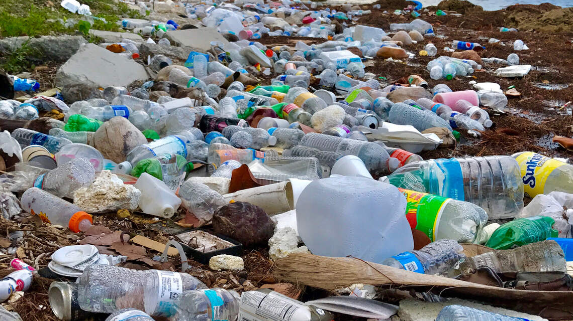 How cleanups along Miami’s waterways have led to a team effort, environmental changes