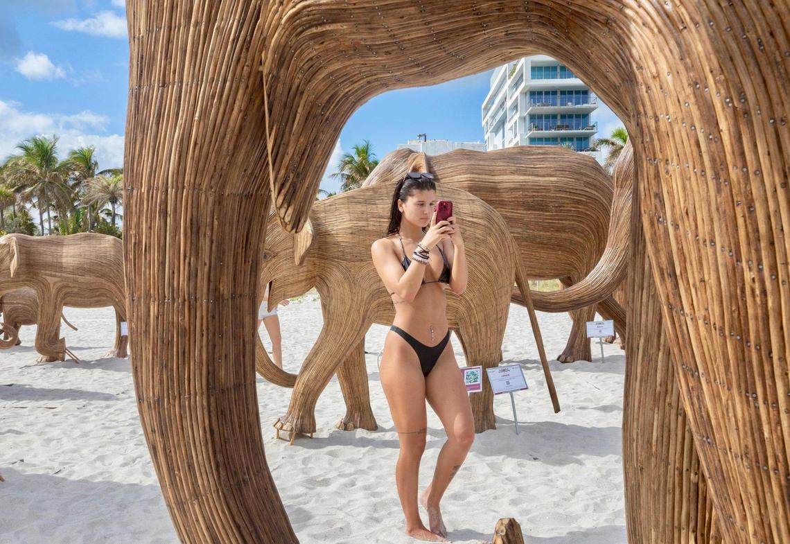 Audrianna Silvestri from New York City takes pictures of The Great Elephant Migration, a striking installation featuring life-sized elephants in Miami Beach. They are on display throughout Miami Art Week on the sands of Miami Beach at 36th Street.