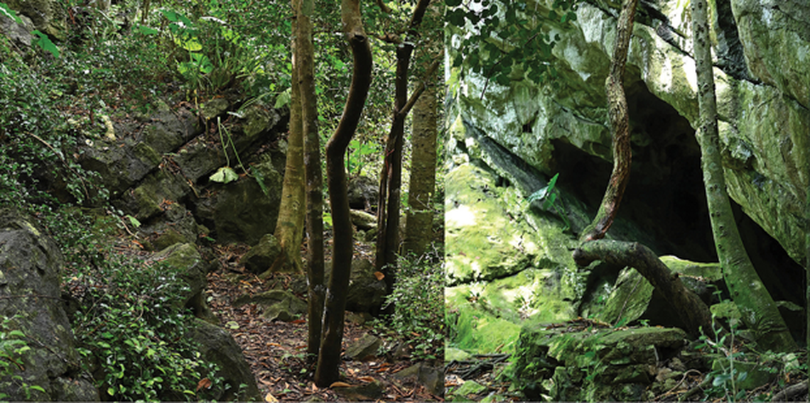 karstic trail and boulders khlong hat district thailand