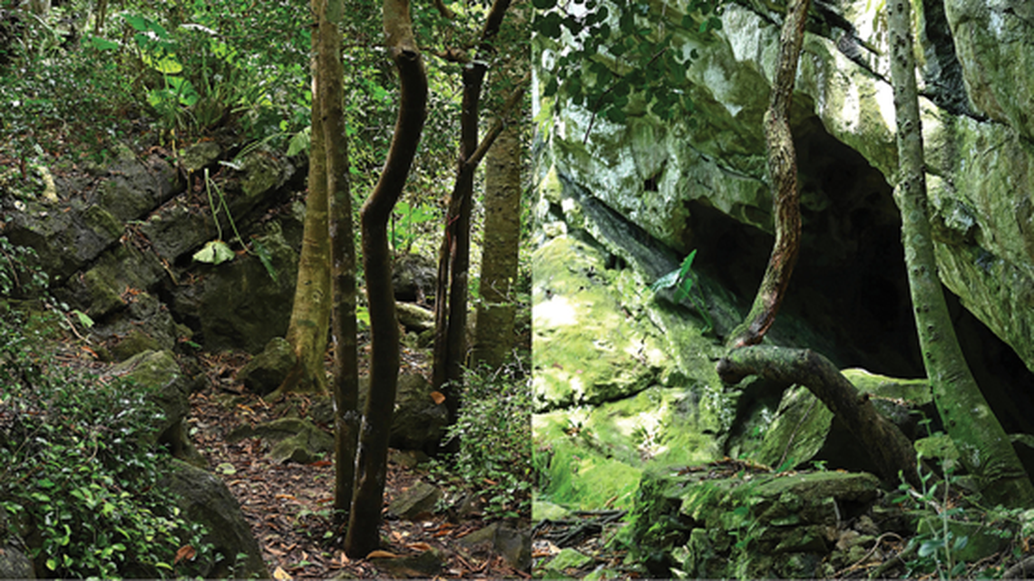 karstic trail and boulders khlong hat district thailand