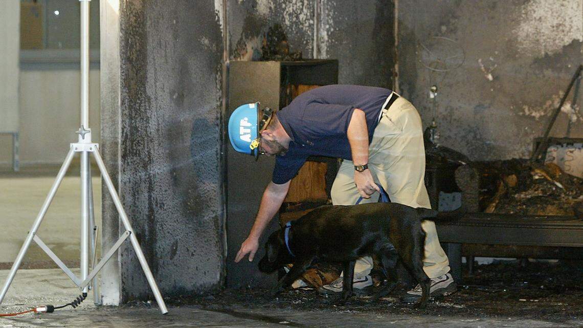 There's a Faster Way to Find Hidden Mold in Your Home. It Has 4 Legs and a Very Good Nose