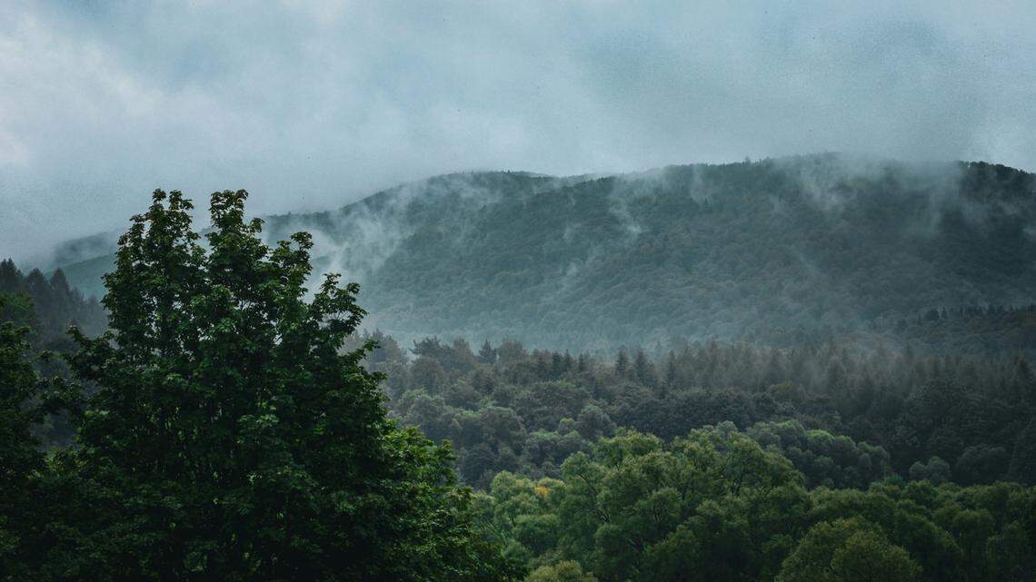 In the forests of the Bieszczady Mountains in Poland, evidence of ancient cultures sit hidden under the soil.