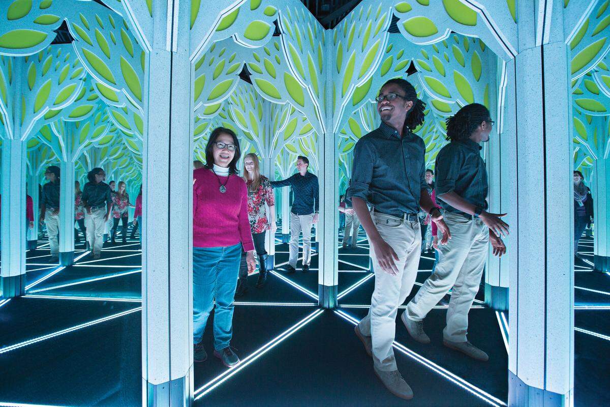 Mirror Maze at Frost Science