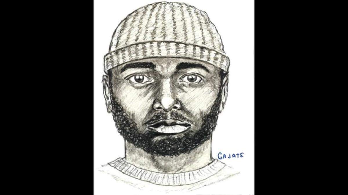 Suspect Sketch.