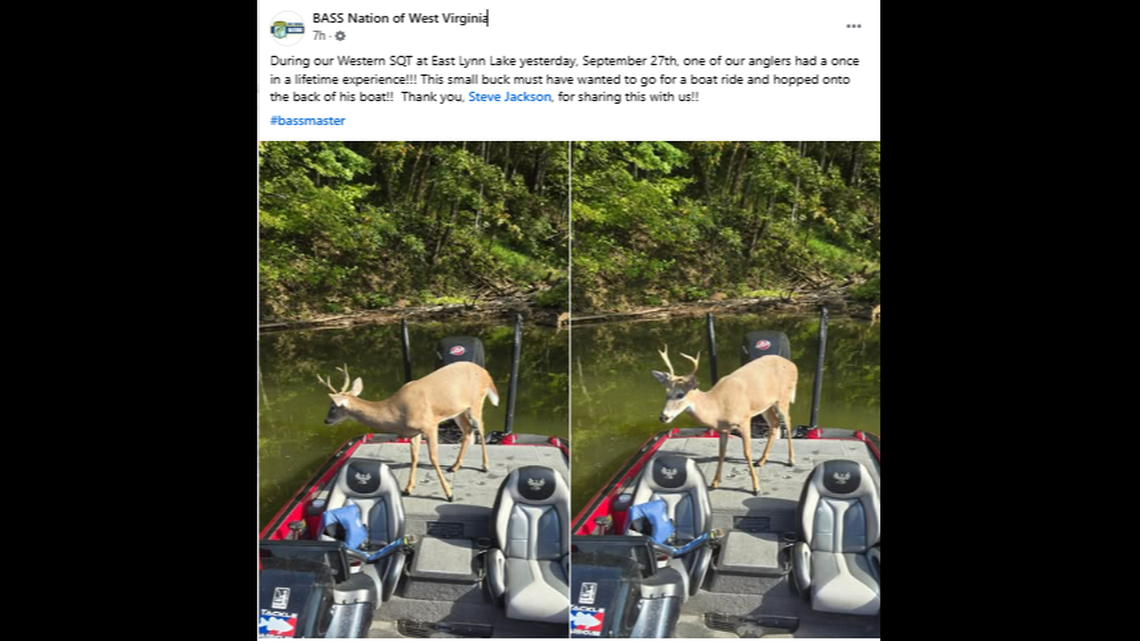The incident happened on East Lynn Lake during a B.A.S.S. Nation of West Virginia regional qualifying tournament for the state championship.