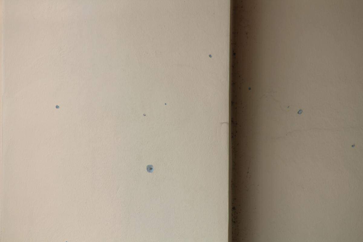 Bullet holes mark the wall of a West Kendall Chase Bank that was the scene of a murder-suicide that left two adults dead and a child.