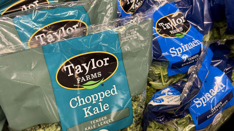 Taylor Farms recalls iceberg lettuce amid outbreak. What it means for Florida
