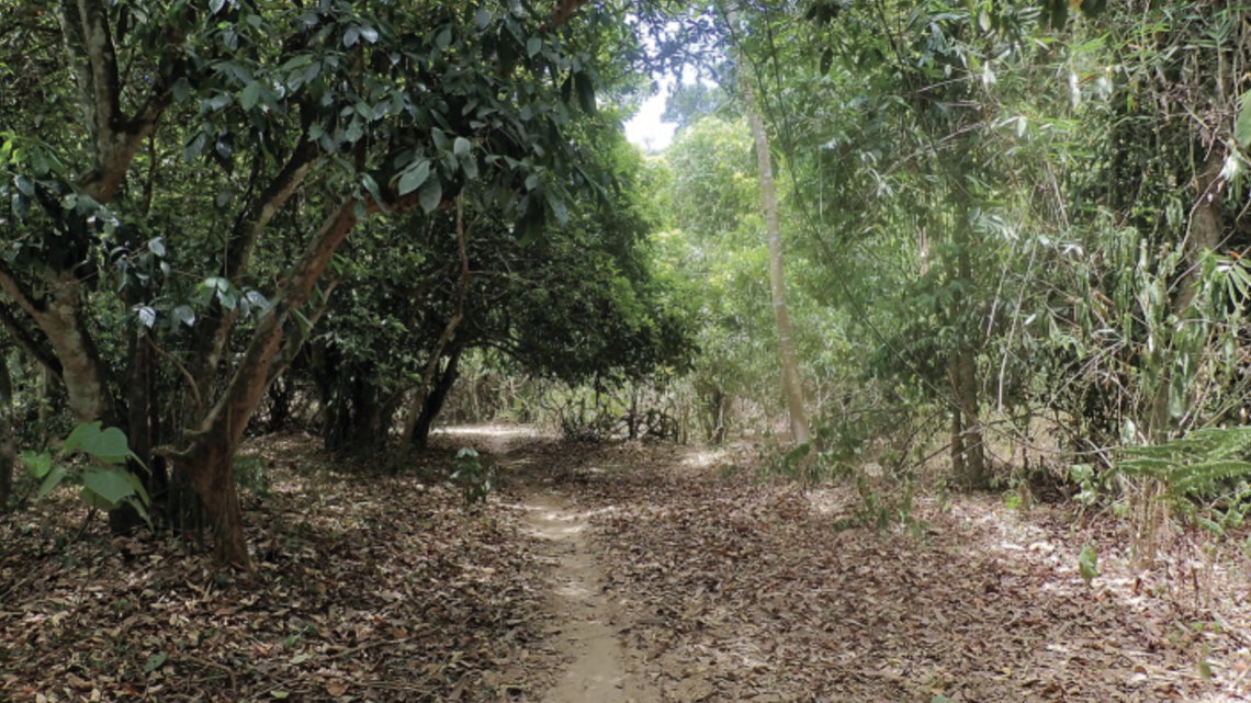 Jérôme Constant, Thai-Hong Pham, Hoai Thu Thi Nguyen