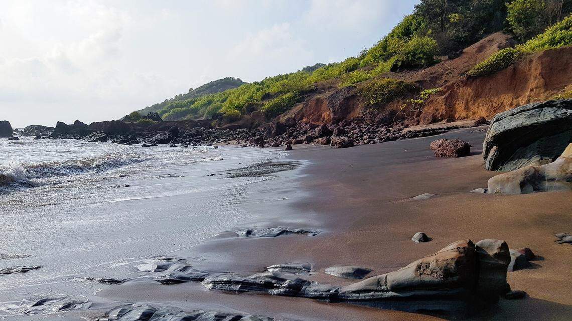 Scientists discovered two new species of clam shrimps in Karnataka and Goa, study said. Photo shows a general beach in Goa.