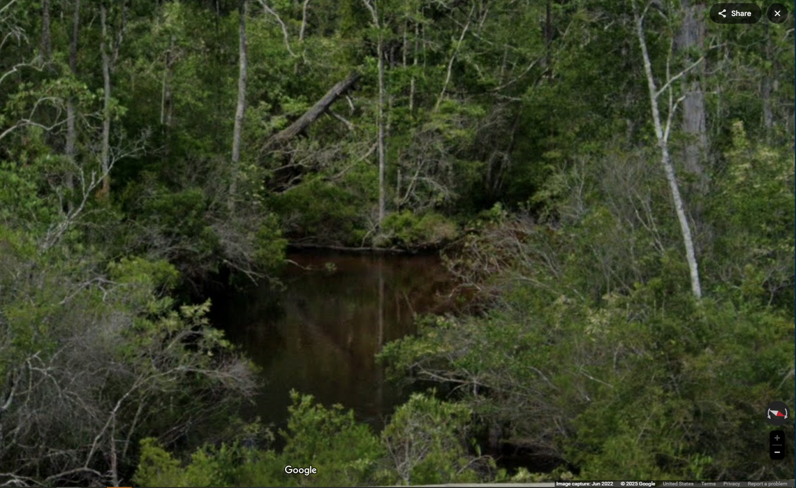 Rocky creek is a blackwater stream that winds through “pristine hardwood forests,” but is also notorious for having a fast current and an abundance of fallen trees to circumvent, according to Eglin Air Force Base.