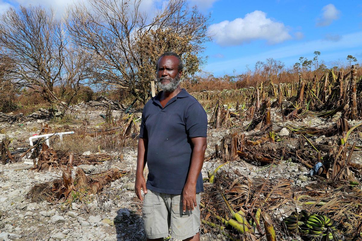 After Hurricane Dorian, Alpha Celestin, 61, returned to his banana farm on Thursday, Sept. 5, 2019, to find his crops had been destroyed by the storm.