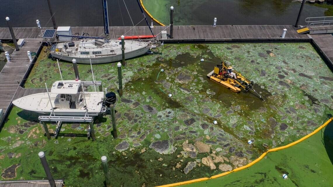 Legislators want to end local fertilizer bans. Critics say it’s gift to phosphate industry